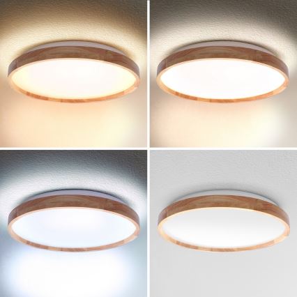 Brilagi - LED ściemnialna oprawa sufitowa ALSON LED/48W/230V 3000-6500K dąb, śr. 39,5 cm + pilot zdalnego sterowania