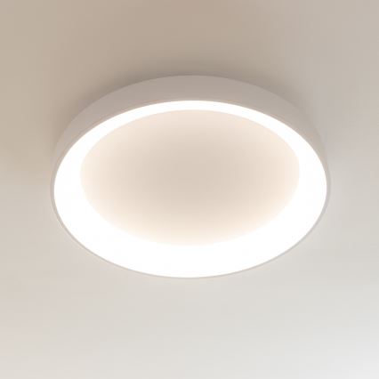 Brilagi - ściemnialna oprawa sufitowa LED FALCON II LED/99W/230V 3000-6500K śr. 60 cm biała + zdalne sterowanie