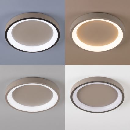 BRILAGI - LED ściemnialna oprawa sufitowa FALCON SLIM LED/42W/230V 3000-6500K średnica 50 cm beżowa + pilot zdalnego sterowania