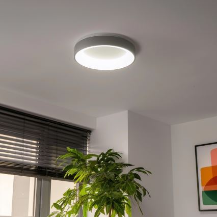 Brilagi - ściemnialny plafon LED FALCON LED/40W/230V 3000-6500K Ø 45 cm szary + pilot zdalnego sterowania