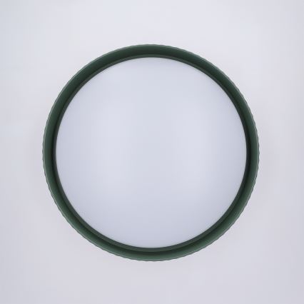 Brilagi - LED ściemnialna lampa sufitowa LUCIA LED/48W/230V 3000-6500K Ø 41 cm zielona + zdalne sterowanie