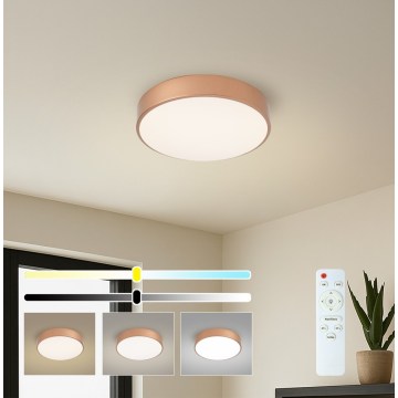 Brilagi - LED ściemnialna oprawa sufitowa POOL LED/36W/230V 3000-6000K śr. 30 cm brązowa + pilot
