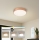 Brilagi - LED ściemnialna oprawa sufitowa POOL LED/36W/230V 3000-6000K śr. 30 cm brązowa + pilot