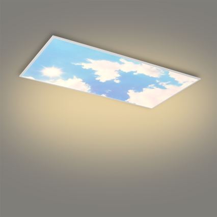Brilagi - LED Ściemnialna oprawa sufitowa SLIMFRAME LED/80W/230V 120x60 cm 3000-6000K srebrna/niebieska + pilot