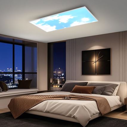 Brilagi - LED Ściemnialna oprawa sufitowa SLIMFRAME LED/80W/230V 120x60 cm 3000-6000K srebrna/niebieska + pilot