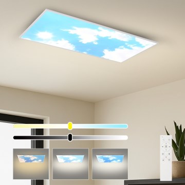 Brilagi - LED Ściemnialna oprawa sufitowa SLIMFRAME SKY LED/80W/230V 120x60 cm 3000-6000K srebrna/niebieska + pilot