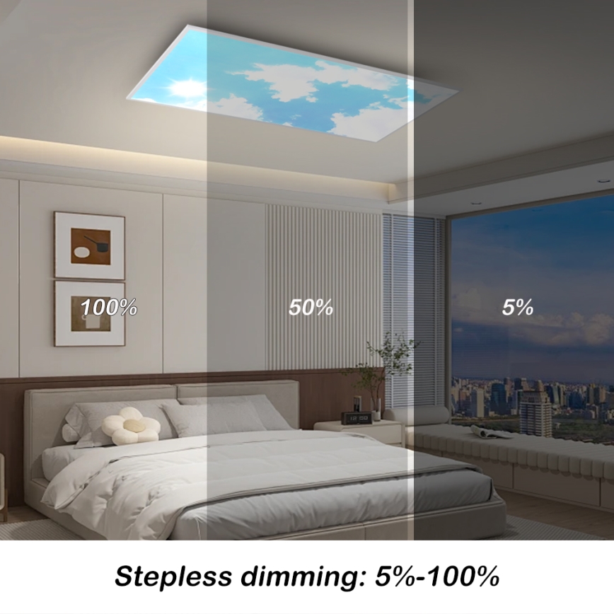 Brilagi - Ściemnialna oprawa sufitowa LED SLIMFRAME SKY LED/80W/230V 120x60 cm 3000-6000K srebrna/niebieska + pilot zdalnego sterowania