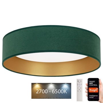 Brilagi - LED Ściemnialny plafon VELVET SMART LED/36W/230V śr. 55 cm 2700-6500K Wi-Fi Tuya zielony/złoty + pilot