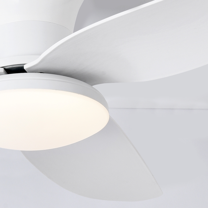 Brilagi - LED Ściemnialny wentylator sufitowy LED/30W/230V 3000-6500K biały + pilot zdalnego sterowania