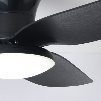 Brilagi - LED Ściemnialny wentylator sufitowy LED/30W/230V 3000-6500K czarny + pilot zdalnego sterowania