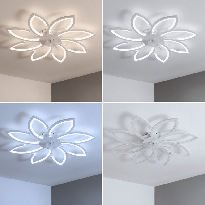 Brilagi - ściemnialny wentylator sufitowy LED/43W/230V śr. 90 cm biały + pilot zdalnego sterowania
