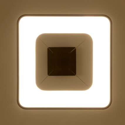 Brilagi - ściemnialny żyrandol LED na linkach FALCON II LED/80W/230V 3000-6500K 40x40 cm czarny + zdalne sterowanie