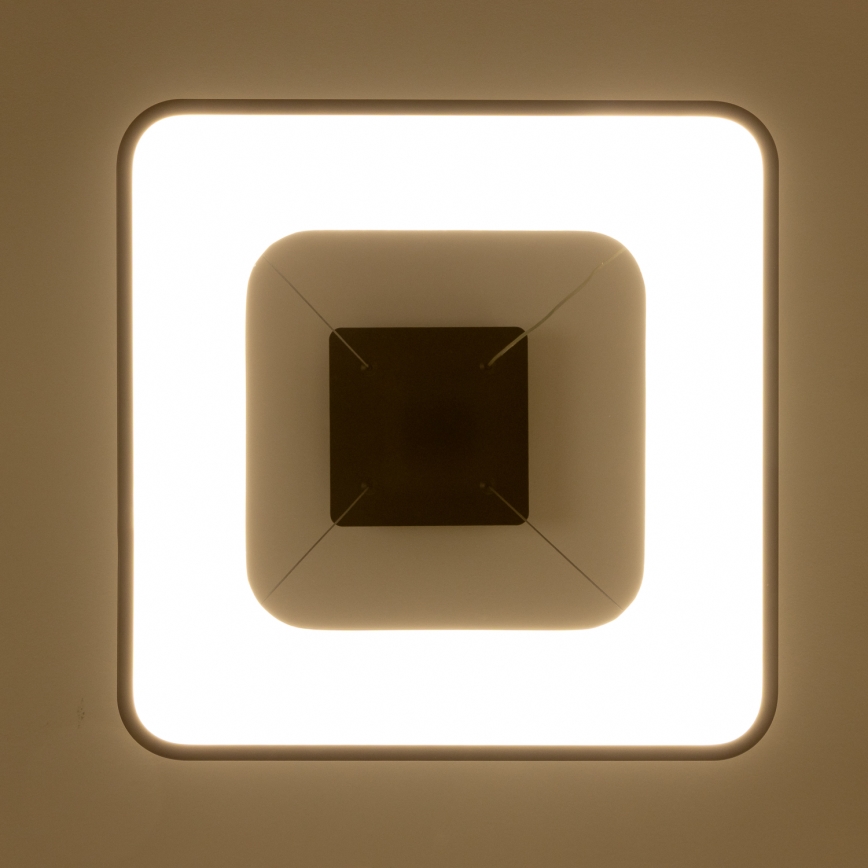 Brilagi - ściemnialny żyrandol LED na linkach FALCON II LED/80W/230V 3000-6500K 40x40 cm czarny + zdalne sterowanie