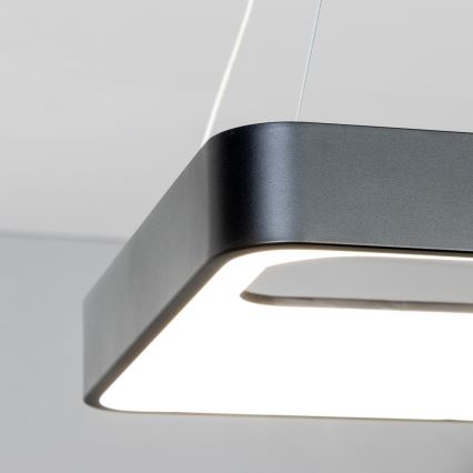 Brilagi - ściemnialny żyrandol LED na linkach FALCON II LED/80W/230V 3000-6500K 40x40 cm czarny + zdalne sterowanie