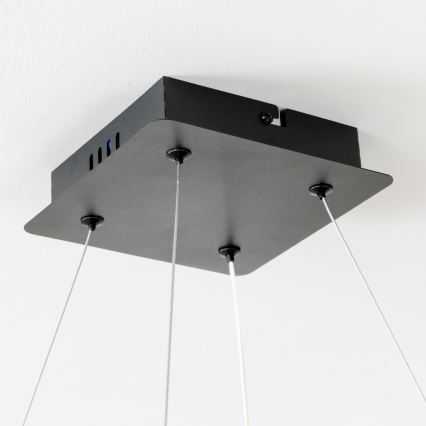 Brilagi - ściemnialny żyrandol LED na linkach FALCON II LED/80W/230V 3000-6500K 40x40 cm czarny + zdalne sterowanie