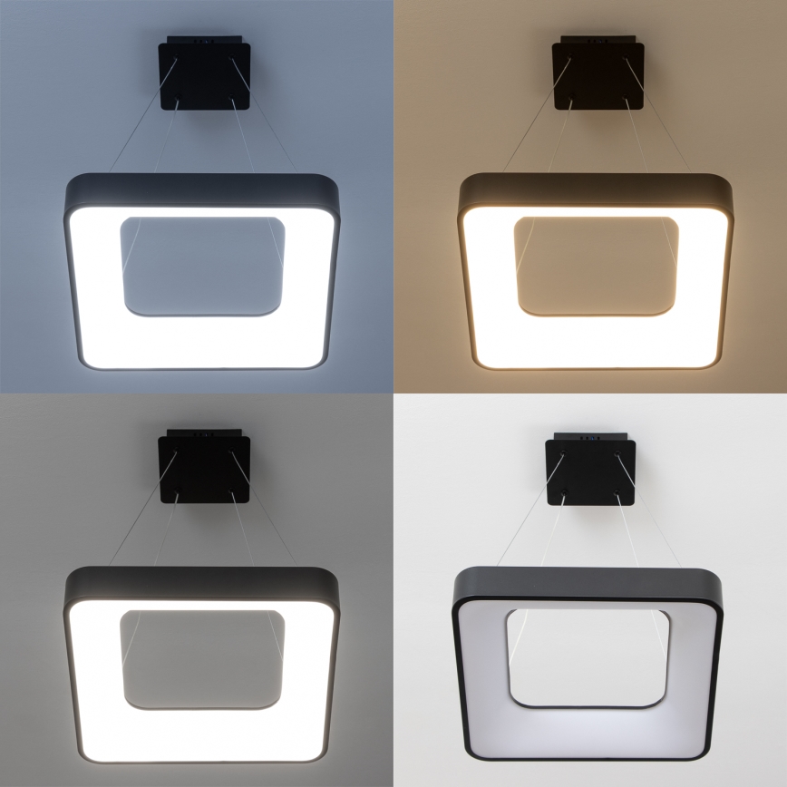 Brilagi - ściemnialny żyrandol LED na linkach FALCON II LED/80W/230V 3000-6500K 40x40 cm czarny + zdalne sterowanie