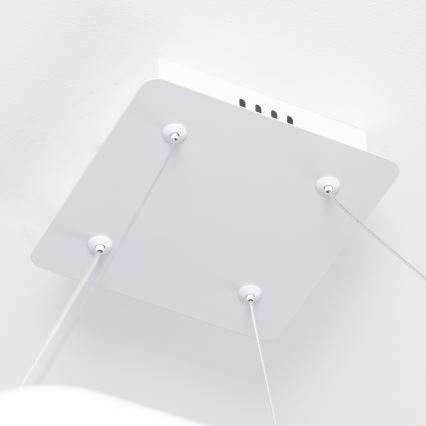 Brilagi - Ściemnialny żyrandol na linkę FALCON SLIM LED/50W/230V 3000-6500K 50x50 cm biały + pilot zdalnego sterowania