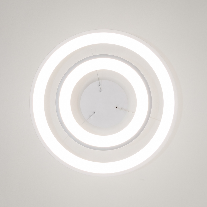 Brilagi - ściemnialna lampa wisząca na linkach FALCON SLIM LED/68W/230V 3000-6500K Ø 50 cm biała + pilot zdalnego sterowania