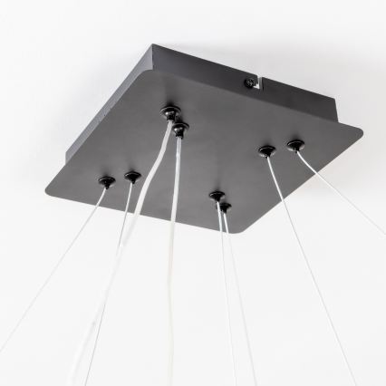 Brilagi - Ściemnialna lampa wisząca na linkach FALCON SLIM LED/78W/230V 3000-6500K 50x50 cm czarna + pilot zdalnego sterowania