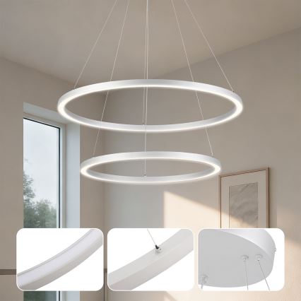 Brilagi - LED ściemnialny żyrandol na linkach PORTOFINO LED/98W/230V 3000-6000K, średnica 80 cm, srebrny + pilot zdalnego sterowania