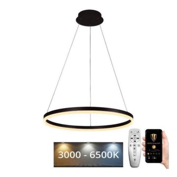 Brilagi - LED ściemnialny żyrandol na linkach CIRCLE LED/42W/230V 3000-6500K śr. 60 cm + zdalne sterowanie