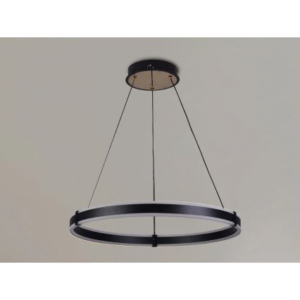 Brilagi - LED ściemnialna lampa wisząca na linkach CIRCLE LED/85W/230V 3000-6500K Ø 60 cm czarny/złoty + pilot zdalnego sterowania