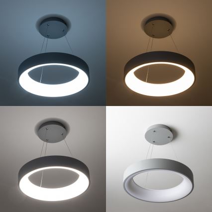 Brilagi - Ściemnialna lampa wisząca LED na lince FALCON LED/80W/230V 3000-6500K śr. 60 cm, szara + pilot zdalnego sterowania