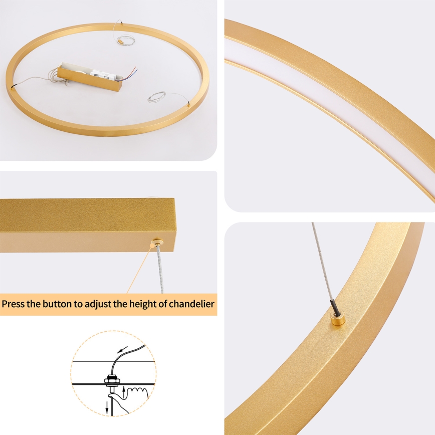 Brilagi - ściemnialny żyrandol LED na linkach PORTOFINO LED/60W/230V 3000-6000K śr. 80 cm złoty + pilot zdalnego sterowania