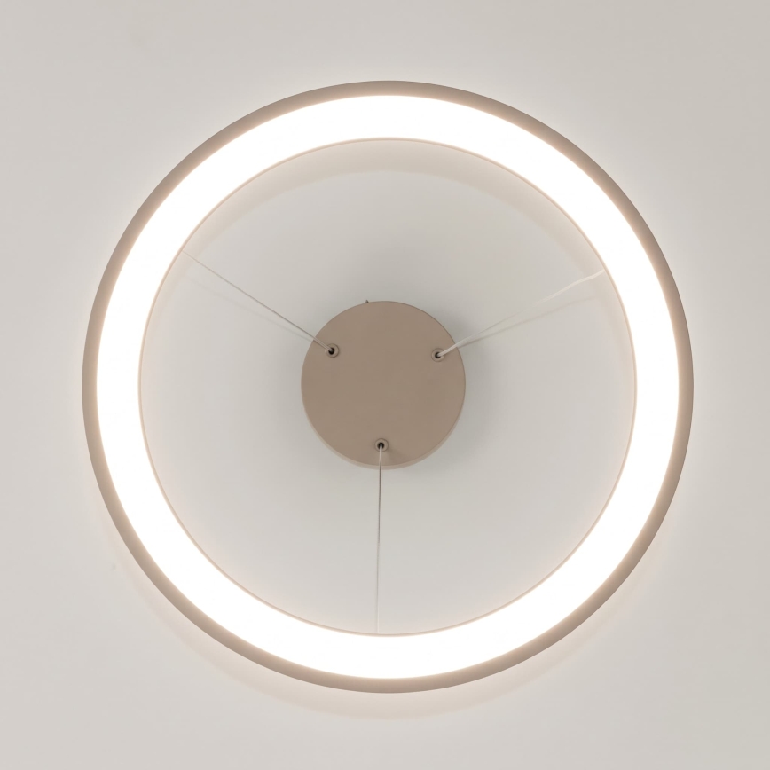 BRILAGI - ściemnialny żyrandol LED na lince FALCON SLIM LED/42W/230V 3000-6500K Ø 50 cm beżowy + zdalne sterowanie
