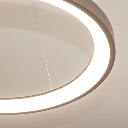 BRILAGI - ściemnialny żyrandol LED na lince FALCON SLIM LED/42W/230V 3000-6500K Ø 50 cm beżowy + zdalne sterowanie