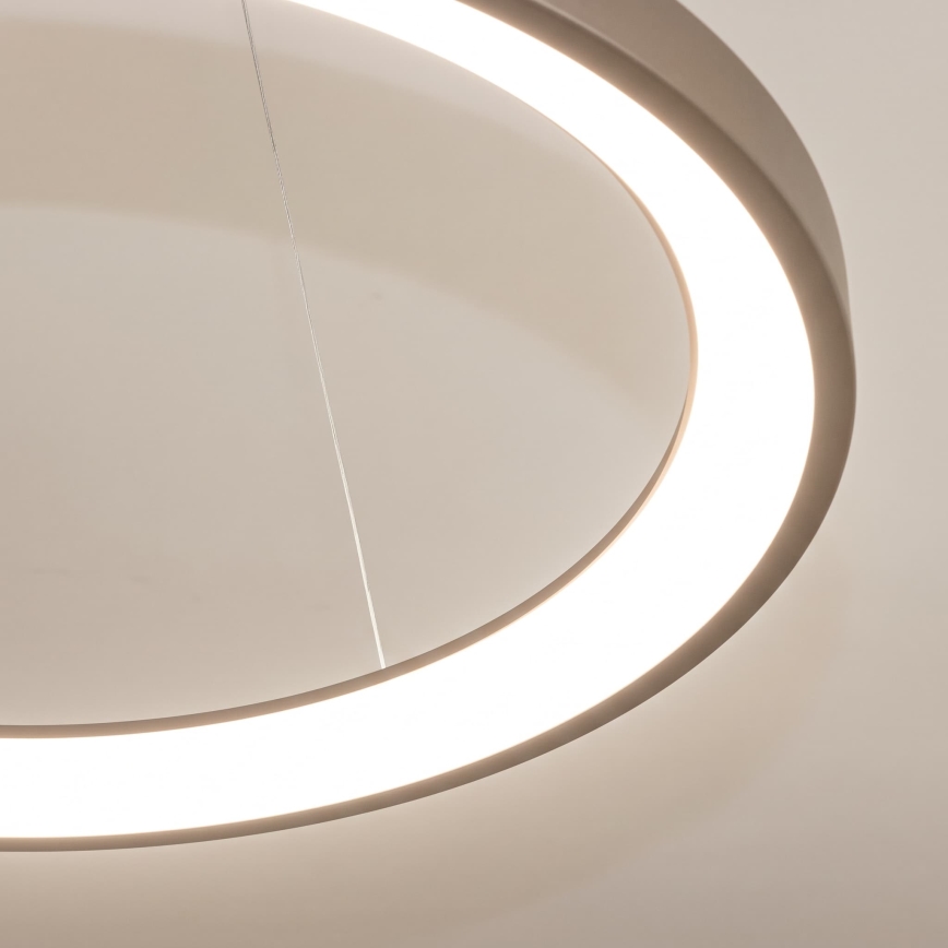 BRILAGI - ściemnialny żyrandol LED na lince FALCON SLIM LED/42W/230V 3000-6500K Ø 50 cm beżowy + zdalne sterowanie