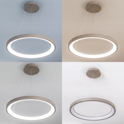 BRILAGI - ściemnialny żyrandol LED na lince FALCON SLIM LED/42W/230V 3000-6500K Ø 50 cm beżowy + zdalne sterowanie