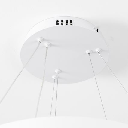 Brilagi - Ściemnialna lampa wisząca LED na lince FALCON SLIM LED/68W/230V 3000-6500K śr. 50 cm biała + pilot zdalnego sterowania