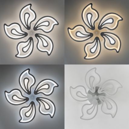 Brilagi - LED Ściemnialny żyrandol natynkowy TWIST LED/125W/230V 3000-6500K + pilot zdalnego sterowania