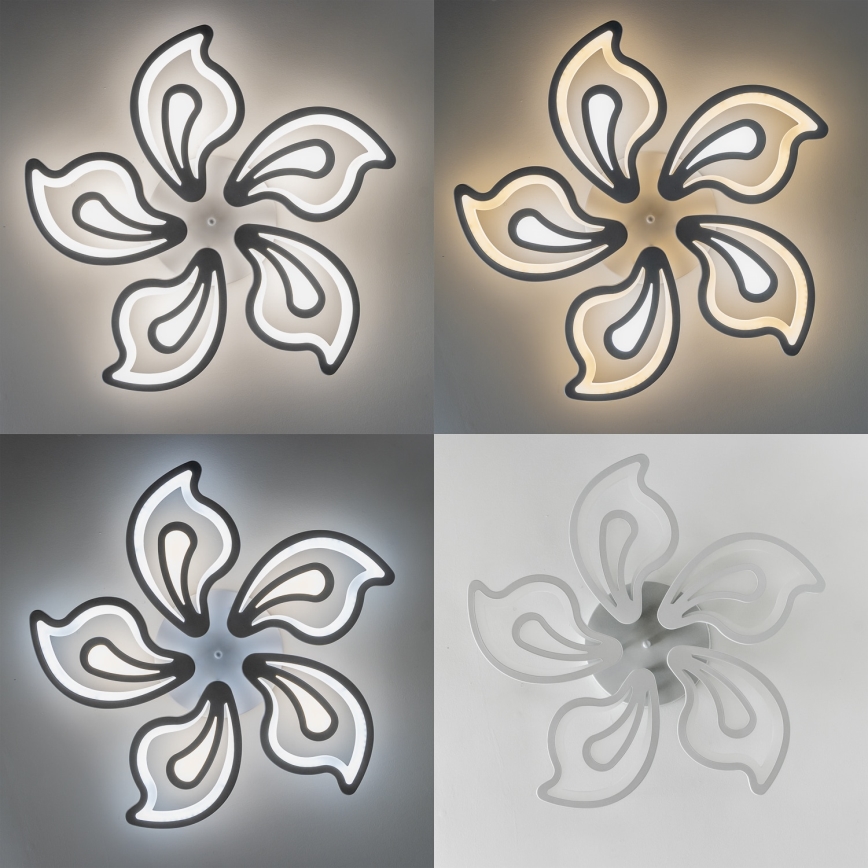 Brilagi - LED Ściemnialny żyrandol natynkowy TWIST LED/125W/230V 3000-6500K + pilot zdalnego sterowania