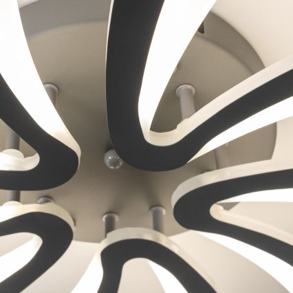 Brilagi - LED Ściemnialny żyrandol natynkowy TWIST LED/55W/230V 3000-6500K antracyt + pilot zdalnego sterowania