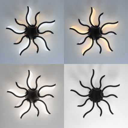 Brilagi - LED Ściemnialny żyrandol natynkowy TWIST LED/65W/230V 3000-6500K czarny + pilot zdalnego sterowania