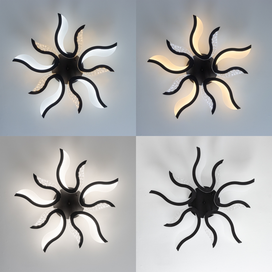 Brilagi - LED Ściemnialny żyrandol natynkowy TWIST LED/65W/230V 3000-6500K czarny + pilot zdalnego sterowania