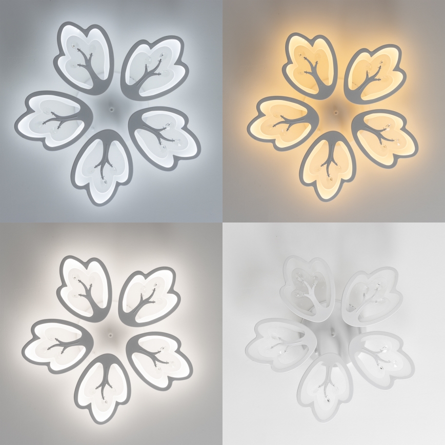 Brilagi - LED Ściemnialny żyrandol natynkowy TWIST LED/80W/230V 3000-6500K biały + pilot zdalnego sterowania