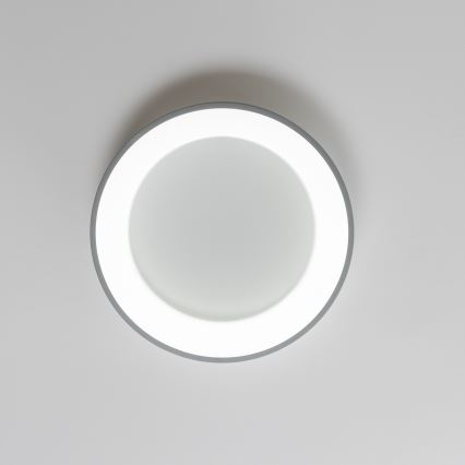 Brilagi - LED Ściemniany plafon LED/40W/230V 3000-6500K grey + pilot