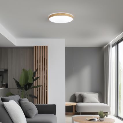 Brilagi - LED Ściemniany plafon PINE LED/24W/230V + pilot