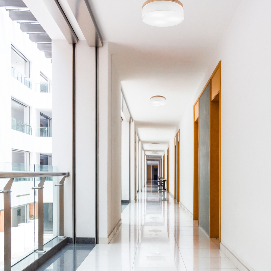 Brilagi - Lampa sufitowa LED BELLADONNA 3xE27/15W/230V śr. 50 cm biała/dąb