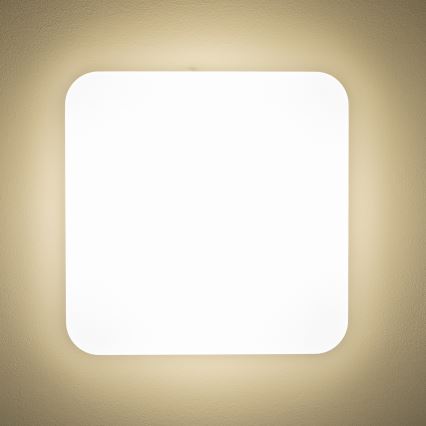 Brilagi - LED Lampa sufitowa PLAIN LED/24W/230V 3000K