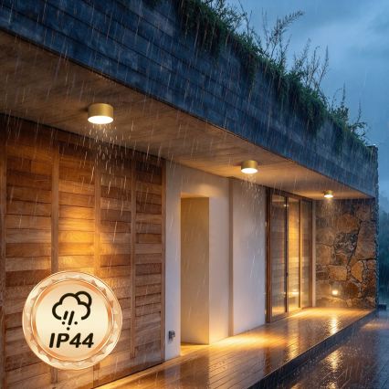 BRILAGI - LED Zewnętrzna lampa sufitowa FORIS LED/14W/230V śr. 12 cm złota IP44