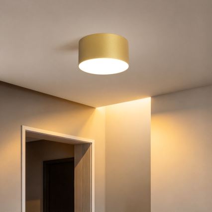 BRILAGI - LED Zewnętrzna lampa sufitowa FORIS LED/14W/230V śr. 12 cm złota IP44