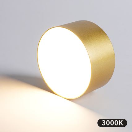 BRILAGI - LED Zewnętrzna lampa sufitowa FORIS LED/14W/230V śr. 12 cm złota IP44