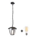 BRILAGI -  LED Zewnętrzna lampa wisząca LUNA 1xE27/60W/230V IP44