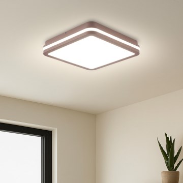 Brilagi - LED zewnętrzna oprawa sufitowa BENE LED/24W/230V 26x26 cm brązowa IP54