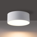 BRILAGI - LED zewnętrzna oprawa sufitowa FORIS LED/14W/230V śr. 12 cm biała IP44
