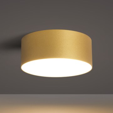 BRILAGI - LED Zewnętrzna oprawa sufitowa FORIS LED/20W/230V śr. 15 cm złota IP44